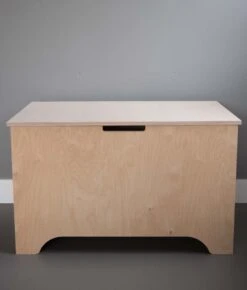 Opbergkist / Speelgoedkist XL (150L) - Stevig - Kwalitatief - Massief Hout - Schilder In Blauw / Roze / Zwart / Groen / Krijtbordverf - Speelgoed - Kinderen (Opbergbox - Opbergbank - Opbergdoos - Dekenkist - Speelgoedbank - Houten Kist)