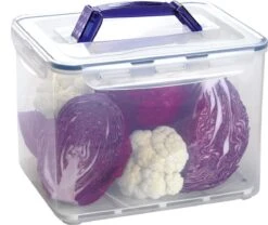 Lock&Lock Vershouddoos - Bewaardoos - Opbergdoos - Opbergbox Met Deksel - Met Handgreep - Luchtdicht - 10 Liter - Transparant