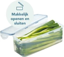 Lock&Lock Vershouddoos - Bewaardoos Met Deksel - Voor Ontbijtkoek Peperkoek En Cake - Cakedoos - 100% Luchtdicht - 3,4 Liter 13 Lock&Lock Vershouddoos - Bewaardoos Met Deksel - Voor Ontbijtkoek Peperkoek En Cake - Cakedoos - 100% Luchtdicht - 3,4 Liter -Thuisopslag 1200x1063