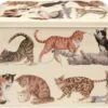 Emma Bridgewater Cats - Vershouddoos - Bewaarblik - Rechthoek - Poes 1 Emma Bridgewater Cats - Vershouddoos - Bewaarblik - Rechthoek - Poes -Thuisopslag 1200x1075 2