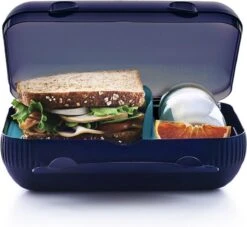 Tupperware Snackpack Blauw