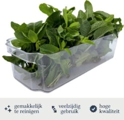 Koelkast Organizer (Set Van 4) - Small - Doorzichtig Keuken Bakjes - Keukenkastorganizers - Opbergbak / Bewaardoos / Opbergdoos / Lade / Schuiflade - Blikjes En Pakjes Houder - Fridge Organizer - Transparant Badkamer Opslag Bakje / Opbergen Bakjes 19 Koelkast Organizer (Set Van 4) - Small - Doorzichtig Keuken Bakjes - Keukenkastorganizers - Opbergbak / Bewaardoos / Opbergdoos / Lade / Schuiflade - Blikjes En Pakjes Houder - Fridge Organizer - Transparant Badkamer Opslag Bakje / Opbergen Bakjes -Thuisopslag 1200x1164 2