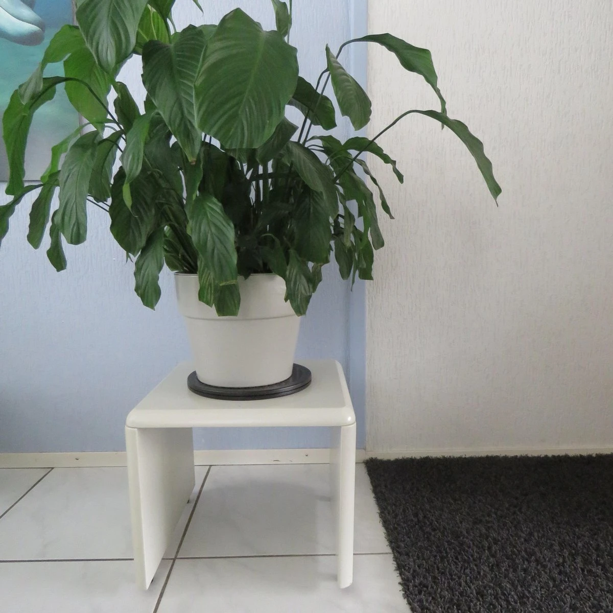 Repusel Draaiplateau Klein - Ø25,5cm 7 Repusel Draaiplateau Klein - Ø25,5cm - Afbeelding 5