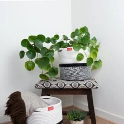 Fruits & Vikings Manden Set Van 2 - Zwart / Wit / Grijs - Kast Organizer - Wassorteerder - Kinderkamer / Badkamer / Speelgoed -Thuisopslag 1200x1200 1149