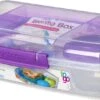 Sistema Bento Box 1.76L Met Boterhamlade - Doorzichtig/Paars -Thuisopslag 1200x560