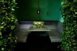 Dutch Design Brand - Dutch Design Storage Box - Opbergdoos - Opbergbox - Bewaardoos - Vogels - Art Of Nature -Thuisopslag 1200x799 34