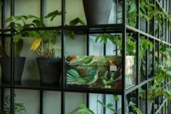 Dutch Design Brand - Dutch Design Storage Box - Opbergdoos - Opbergbox - Bewaardoos - Vogels - Art Of Nature -Thuisopslag 1200x799 35