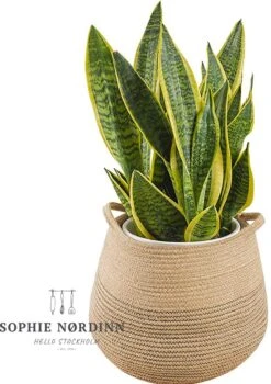 Bestseller #1 Opbergmand Van Sophie Nordinn® - Mand Goteborg (Jute Groot) - Wasmand - Waszak - 57 L -Thuisopslag 848x1200 5