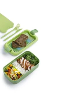 Curver Lunch&Go - Vershouddoos - Lunchbox - Inclusief Bestek - 2/3 Compartimenten - Groen 19 Curver Lunch&Go - Vershouddoos - Lunchbox - Inclusief Bestek - 2/3 Compartimenten - Groen -Thuisopslag 900x1200